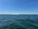 IMG-20240515-WA0006